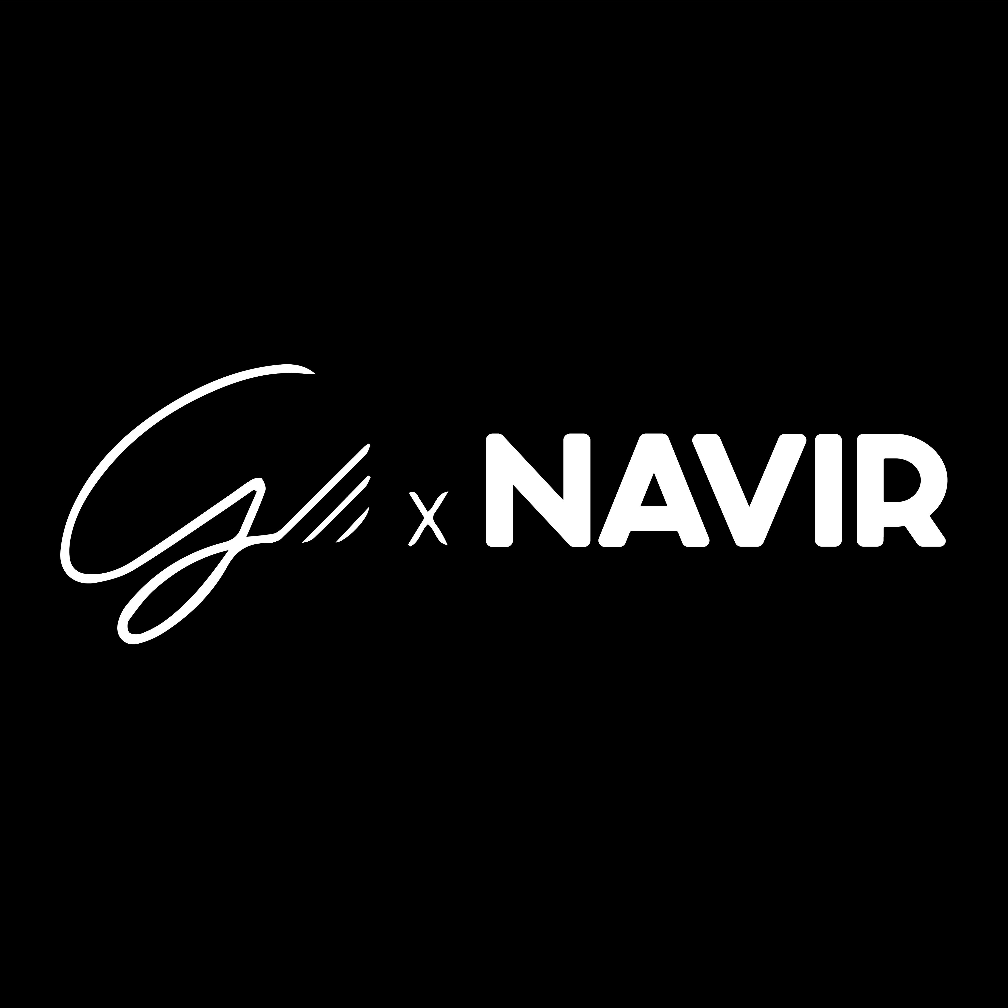 G_x_NAVIR.webp